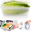 EcoFresh™ - Kit 24 Potes Herméticos + Brindes Exclusivos [ULTIMO DIA DE OFERTA] Victory 